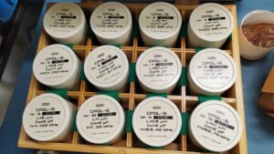 Cewki pomiarowe CPQL-6 INCO