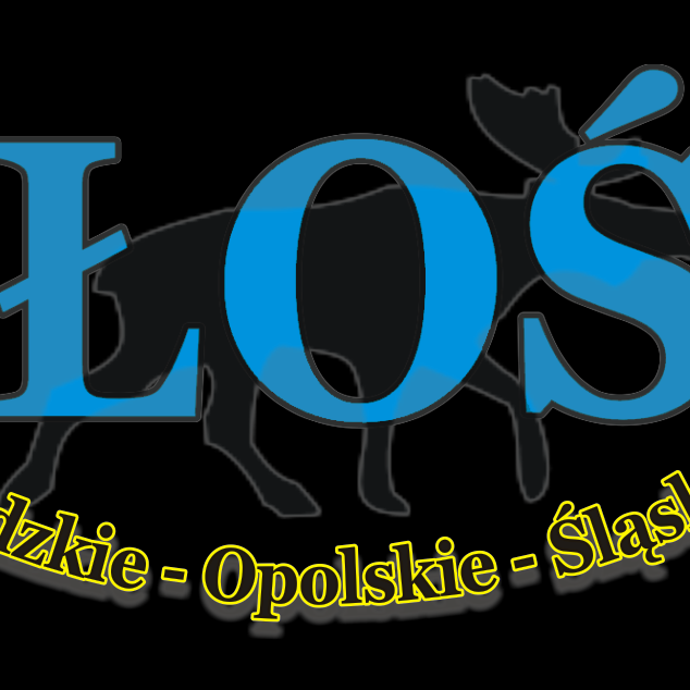 ŁOŚ Spotkanie Krótkofalowców